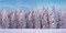 My Village Background Cloth - Snow Forest - 59x30 inch